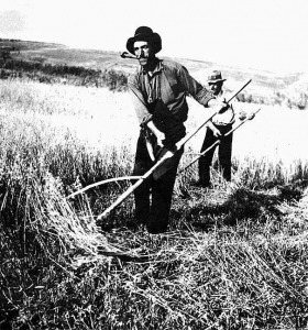 3208_aratas(rendrearatas_csapos_kaszaval)