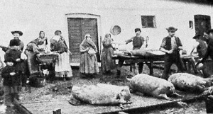 4293_disznooles_debrecenben