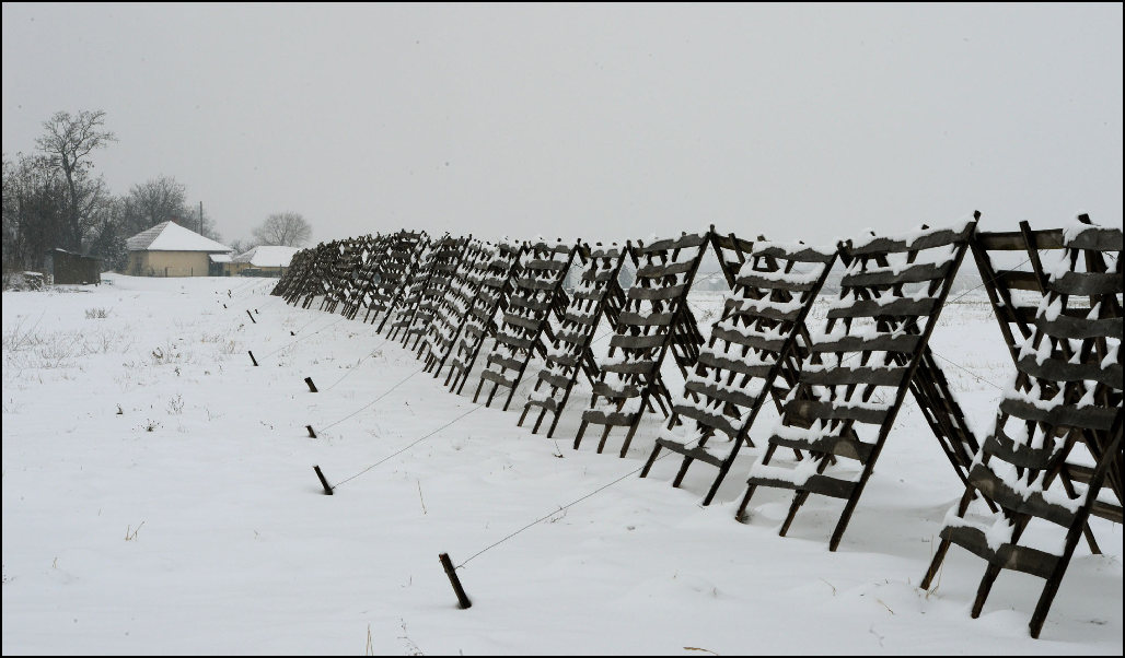 7786 Havazott a Jaszsagban Jaszfenyszaru hataraban