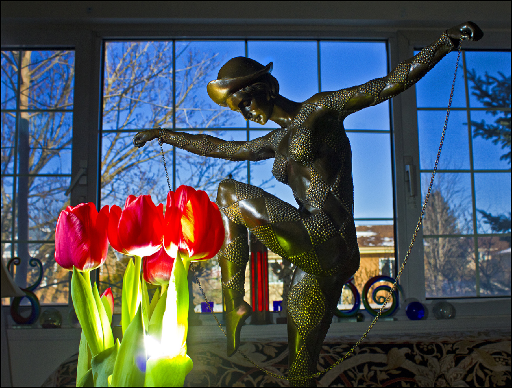 langolo_tulipanok_pp