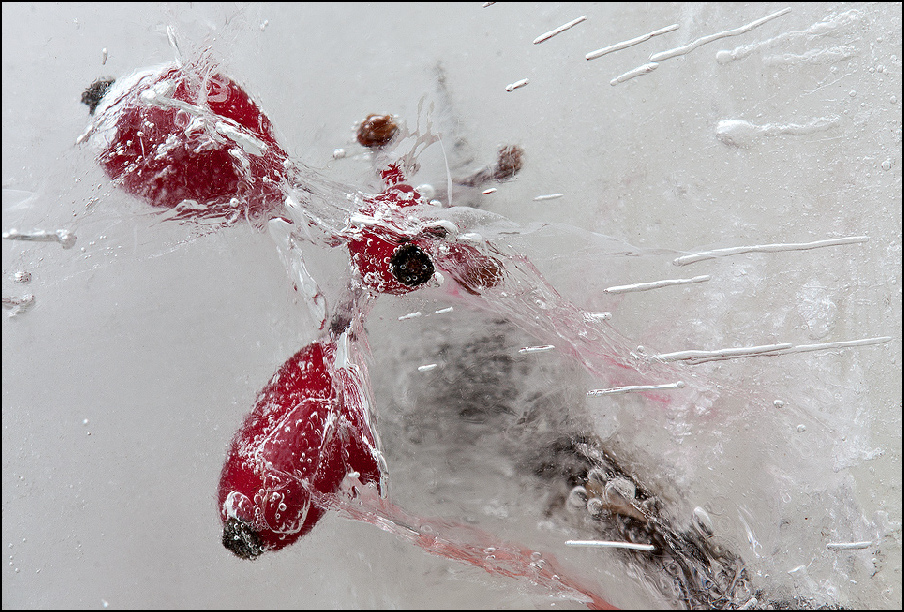 varday_elverzikazosz