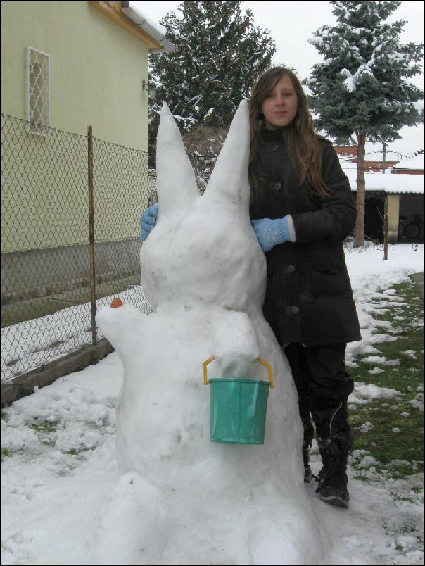 LillaHusvetiNyuszija2013W