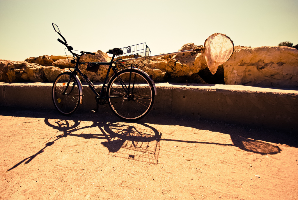 cimnelkul2_martonildiko