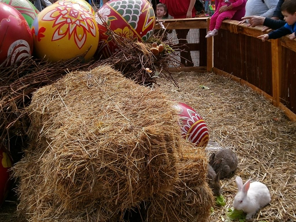 husvet_arnyekaban_tvar