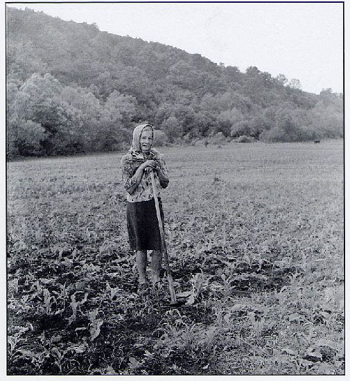 Anyám kapáláskor (1981)