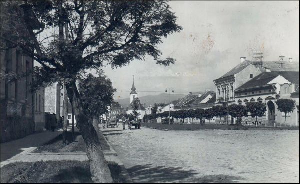 csszereda_kossuthvirag