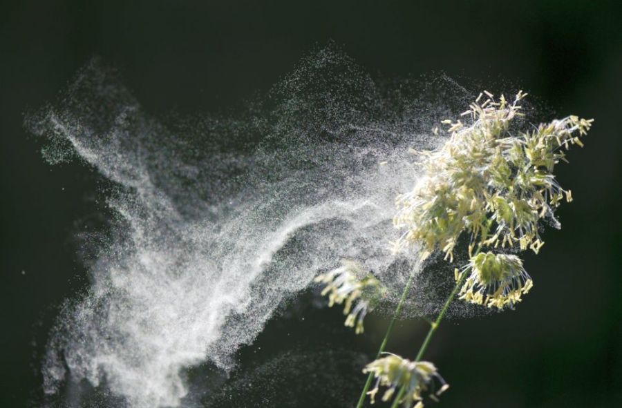 I. Székelyföldi Fotó Biennálé, C. kategória