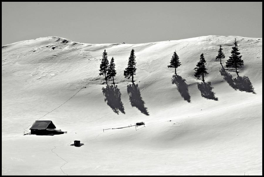 vasslehel_orszemek_1_b