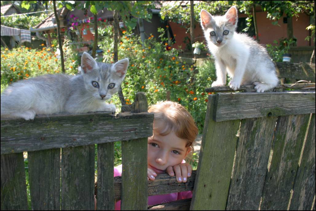 +Mezőbergenye 0908 054