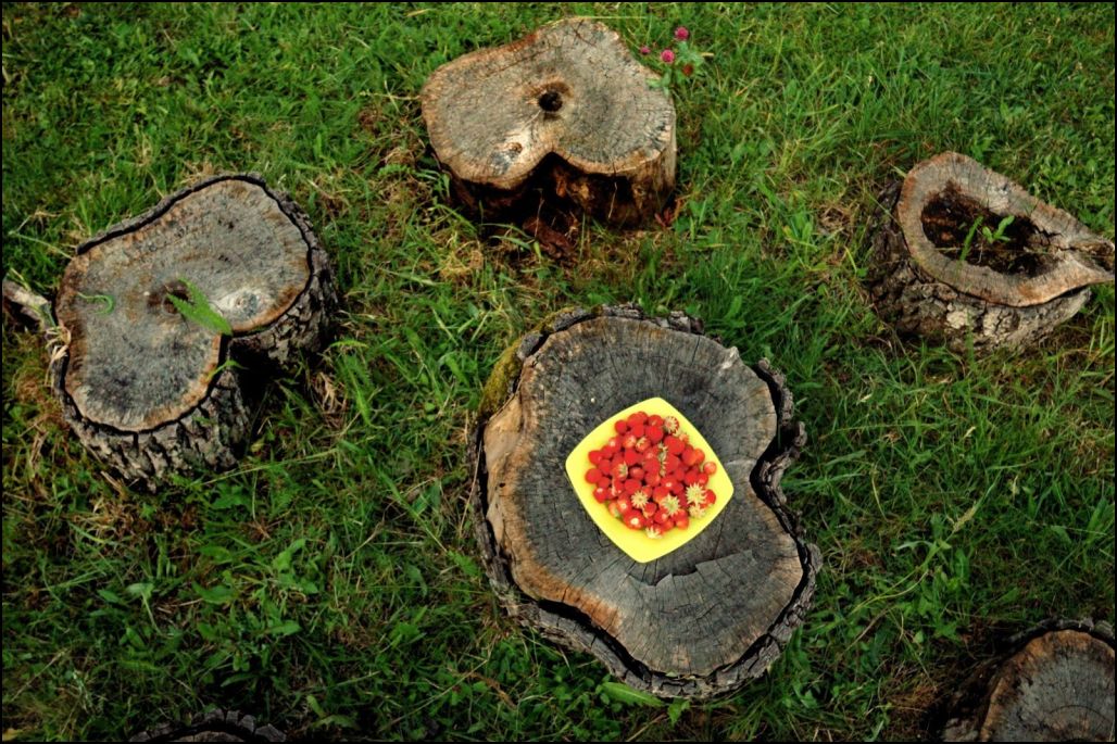 foto  VDorolti _14195