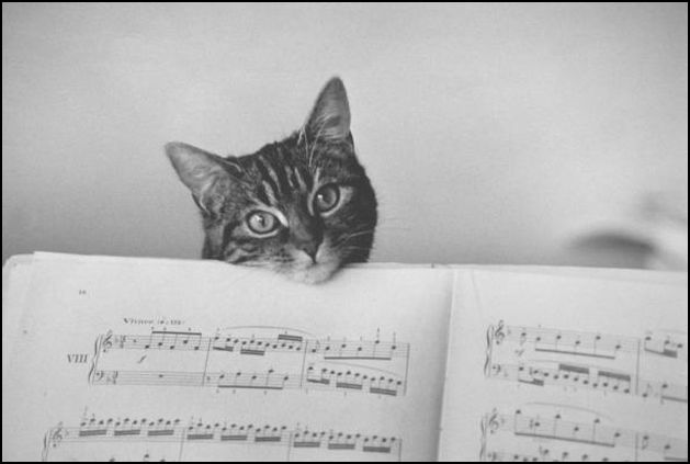 014_edouard-boubat_theredlist