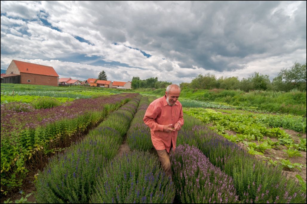 adam_karcfalva_macalik