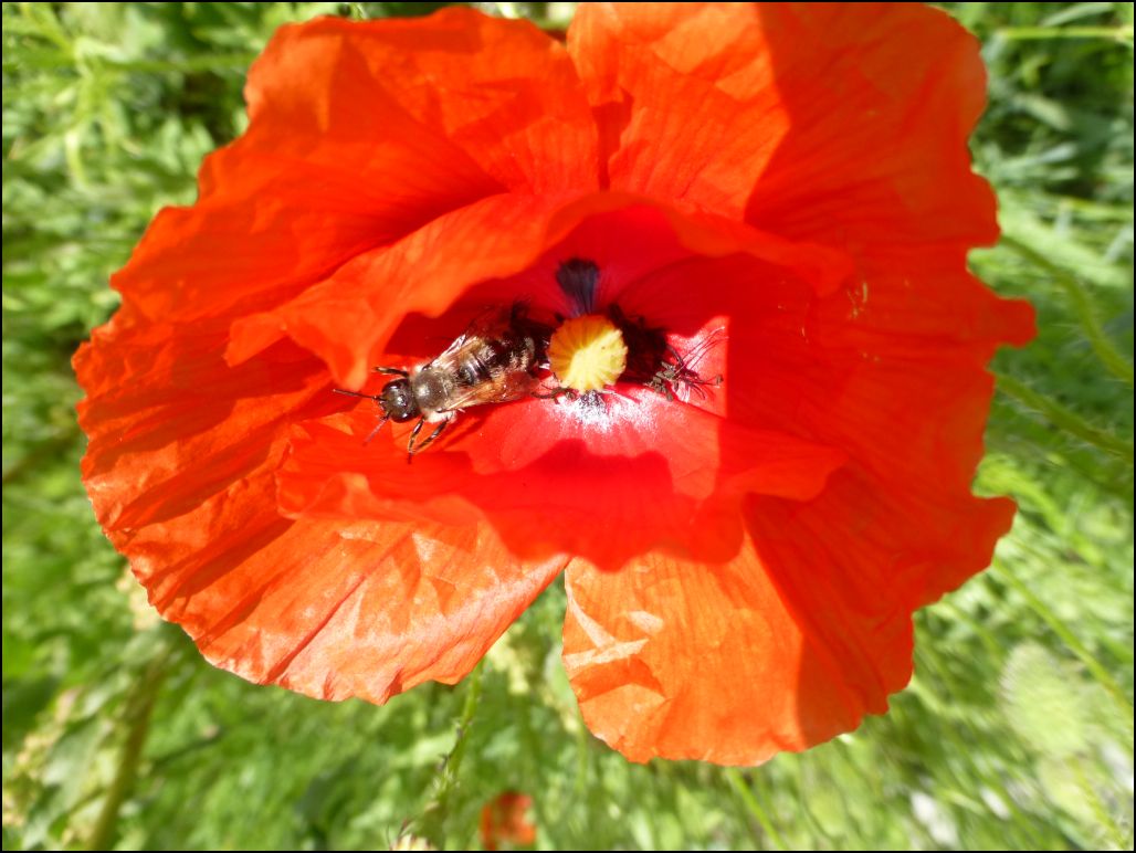 ilyeskinga_latogatasutan