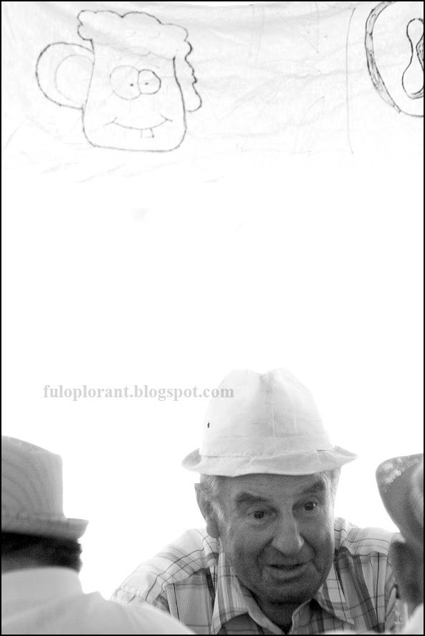 falunapi_angulat_flori