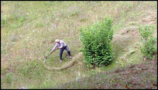 fotoanu_kasza_sz_joska