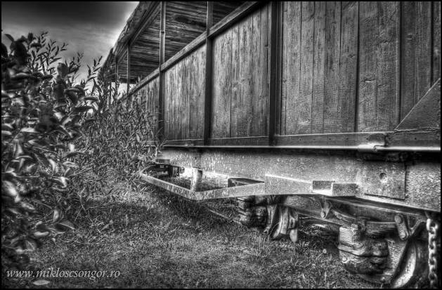 mikloscsongor_elveszettvilag