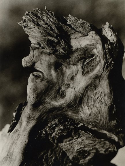 051sarzsinszkyferenc-049