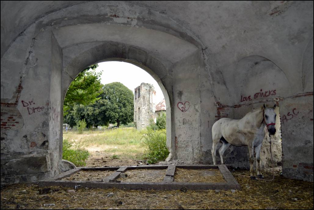 aherceghalala_illyesandraszsolt2