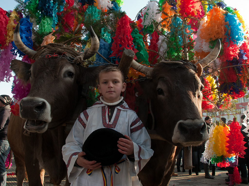 aknavasar6608434633_e2b8c4c189_b