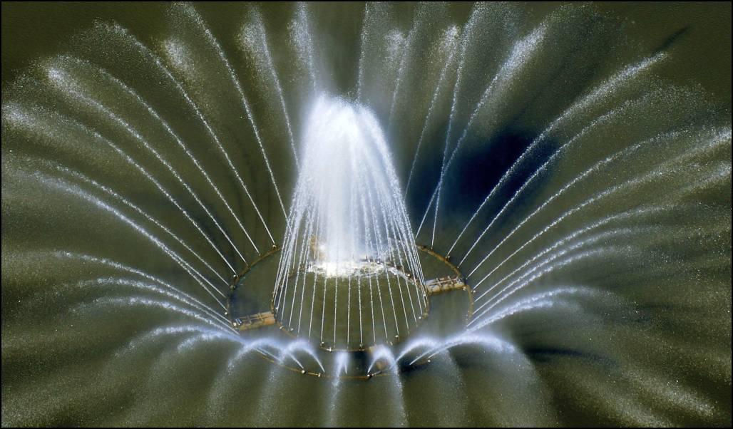 markazi_vizirozsa_hszs