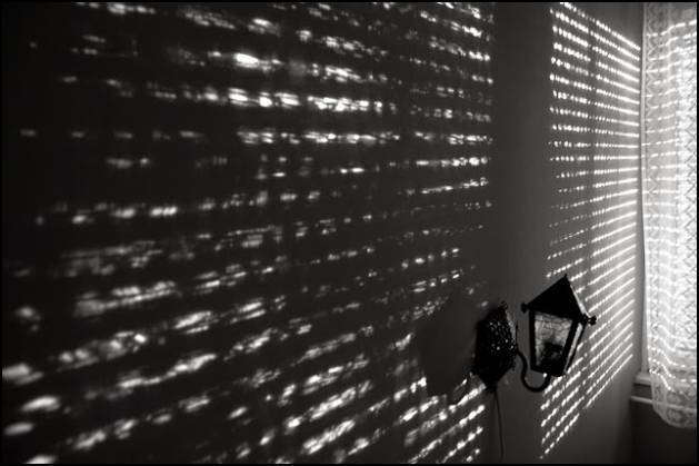 osziszabadsag_zsakaipeter