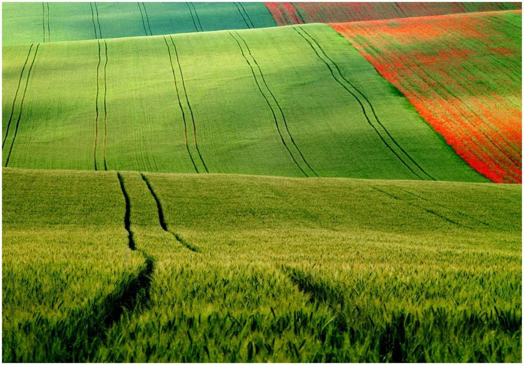 LS a3 A0005494 70x100x300 RETUS 3u