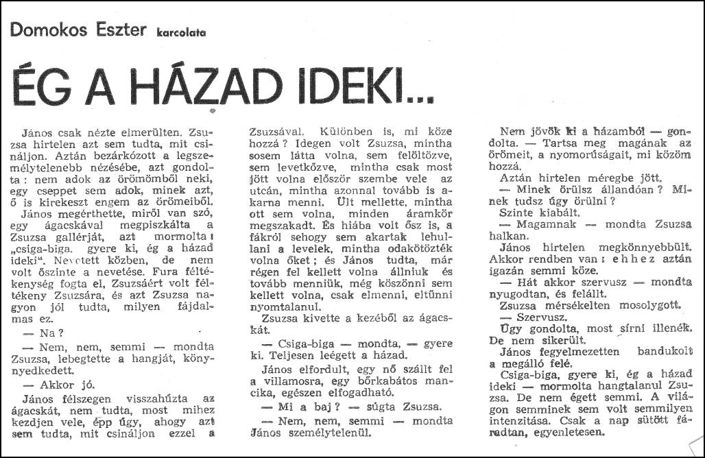 domokoseszter_im_70_12